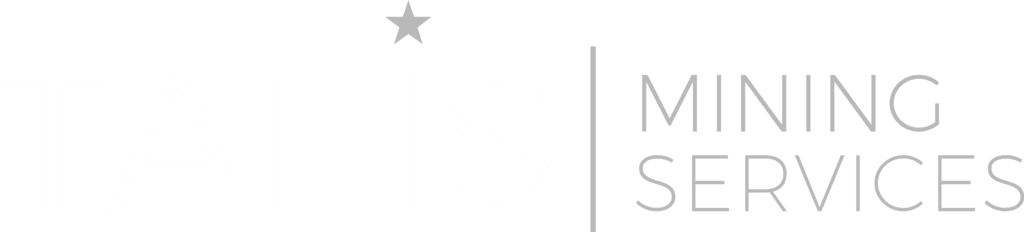 Talis Mining Services